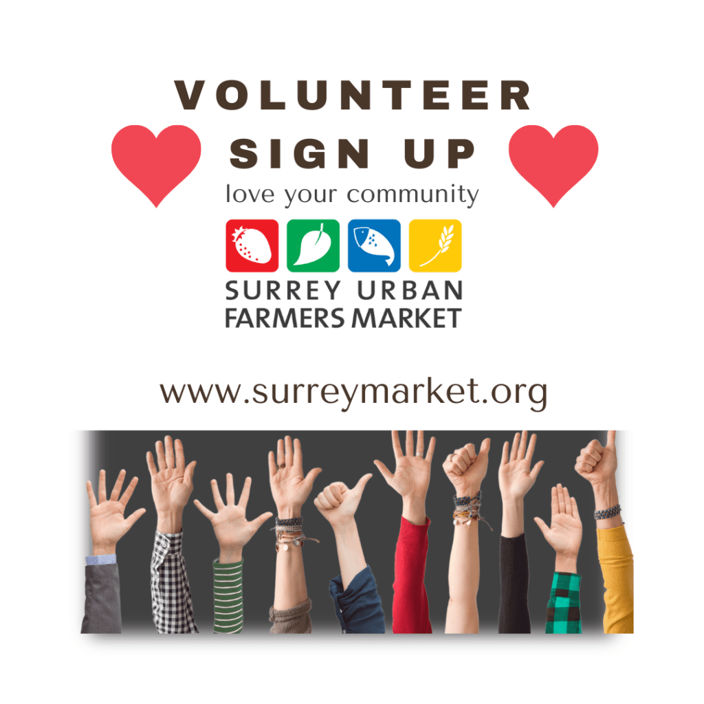 Volunteer Application